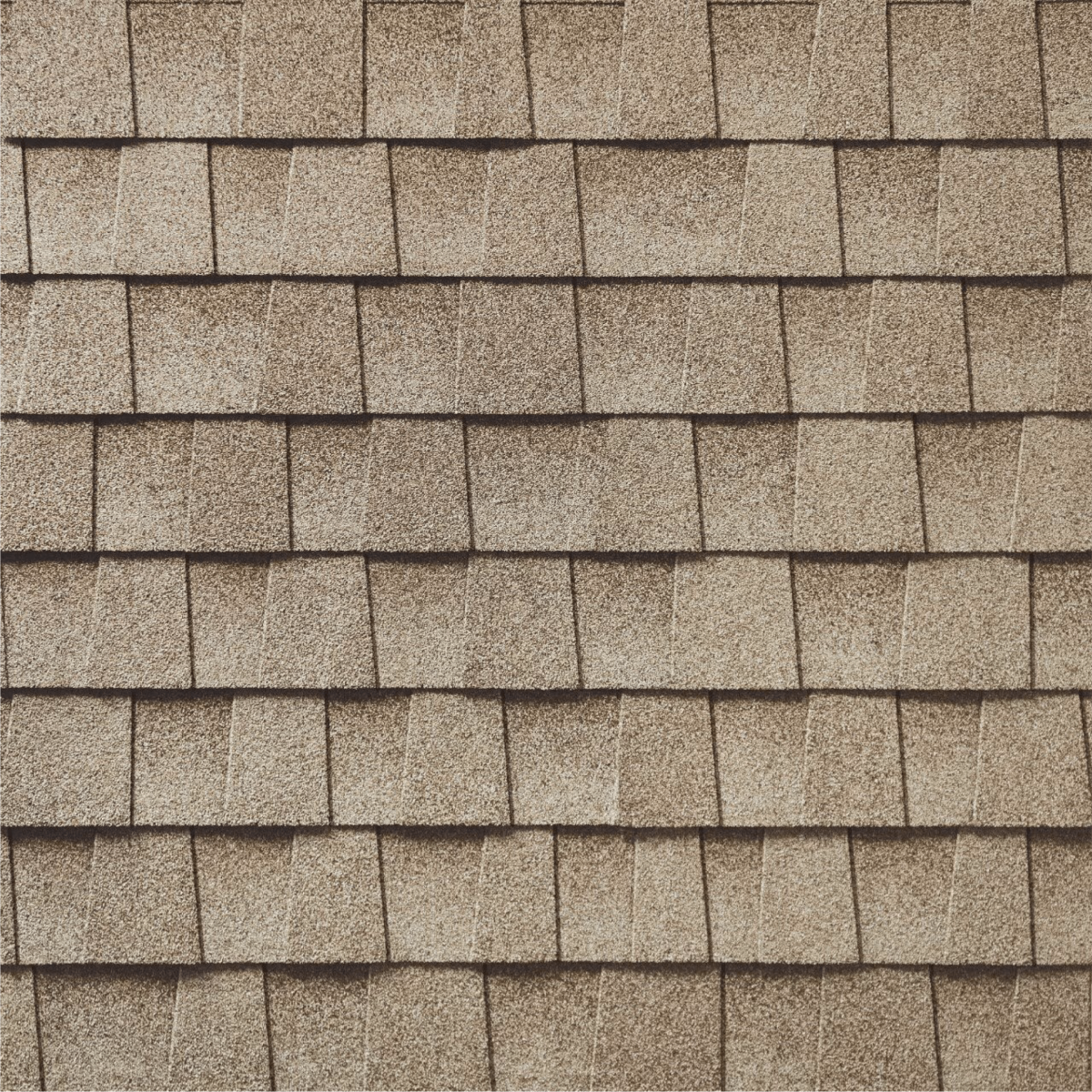 Total Roofing Solutions & Construction Images