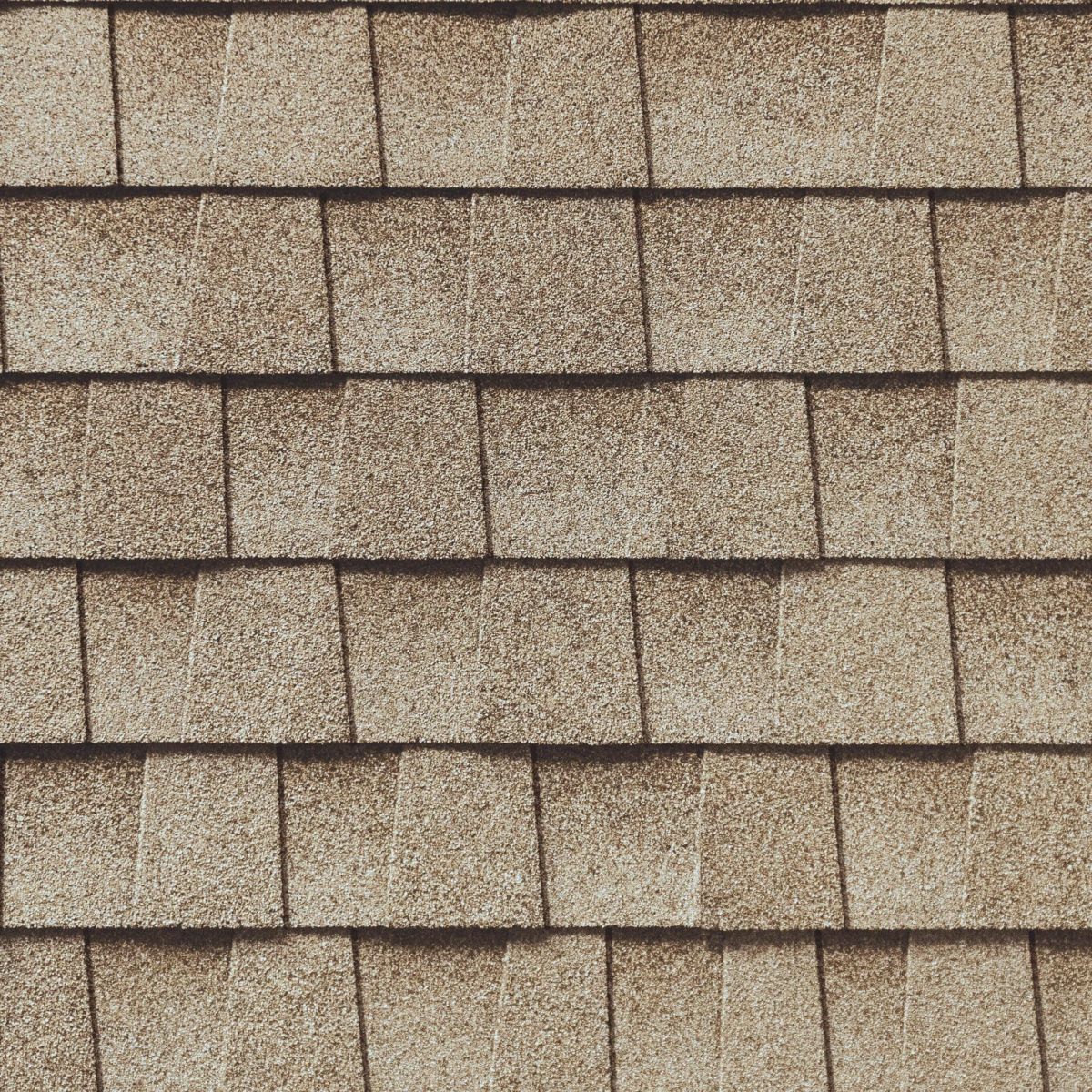 Total Roofing Solutions & Construction Images