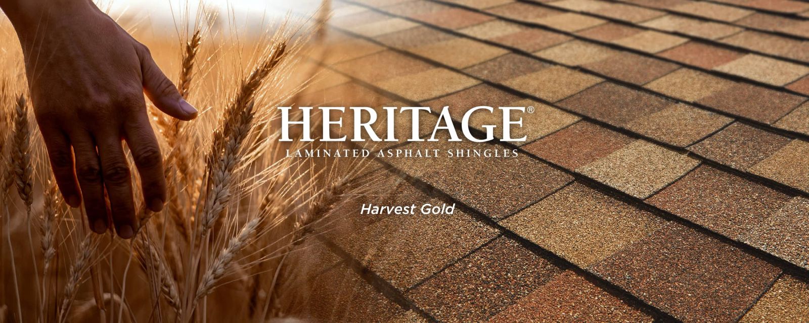 Total Roofing Solutions & Construction Images