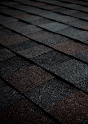 Total Roofing Solutions & Construction Images