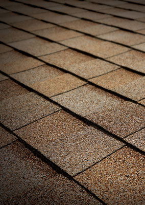 Total Roofing Solutions & Construction Images