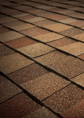 Total Roofing Solutions & Construction Images