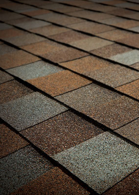 Total Roofing Solutions & Construction Images