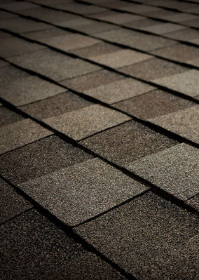 Total Roofing Solutions & Construction Images