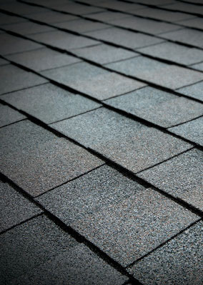 Total Roofing Solutions & Construction Images