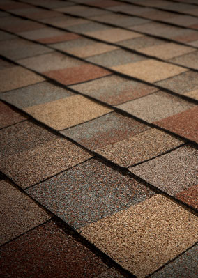 Total Roofing Solutions & Construction Images
