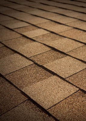 Total Roofing Solutions & Construction Images