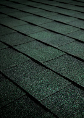 Total Roofing Solutions & Construction Images