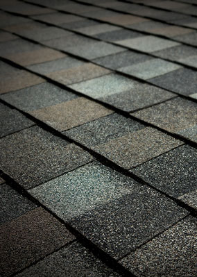 Total Roofing Solutions & Construction Images