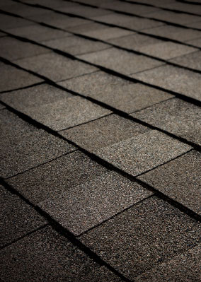 Total Roofing Solutions & Construction Images