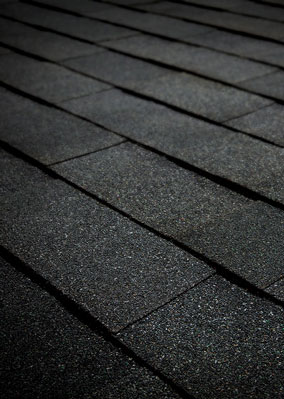 Total Roofing Solutions & Construction Images