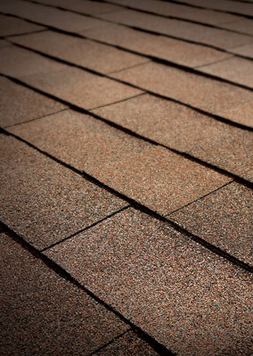 Total Roofing Solutions & Construction Images