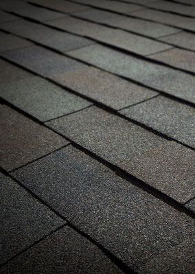 Total Roofing Solutions & Construction Images