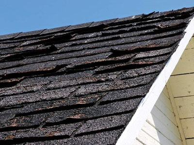 Total Roofing Solutions and Construction Images